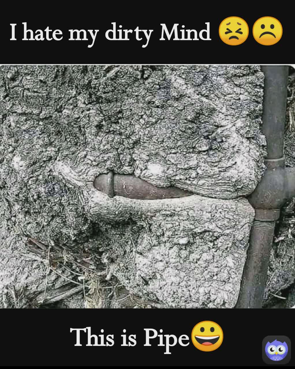 This is Pipe😀 I hate my dirty Mind 😣☹️