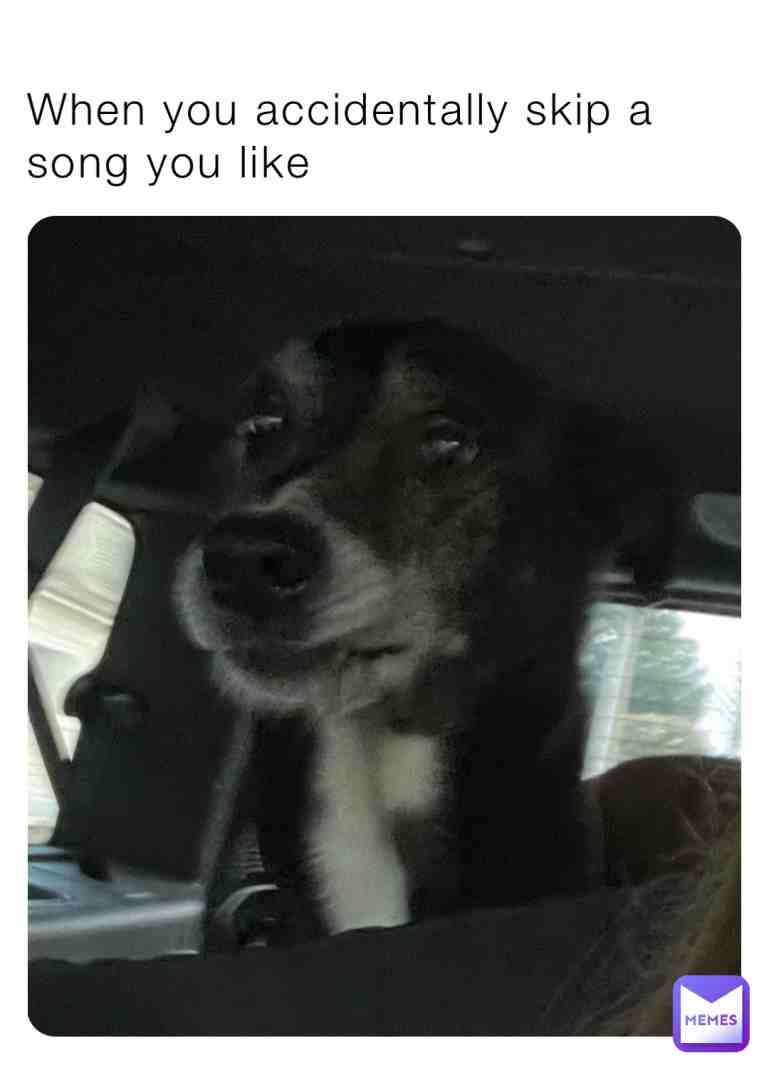 I’m making my dog into a meme