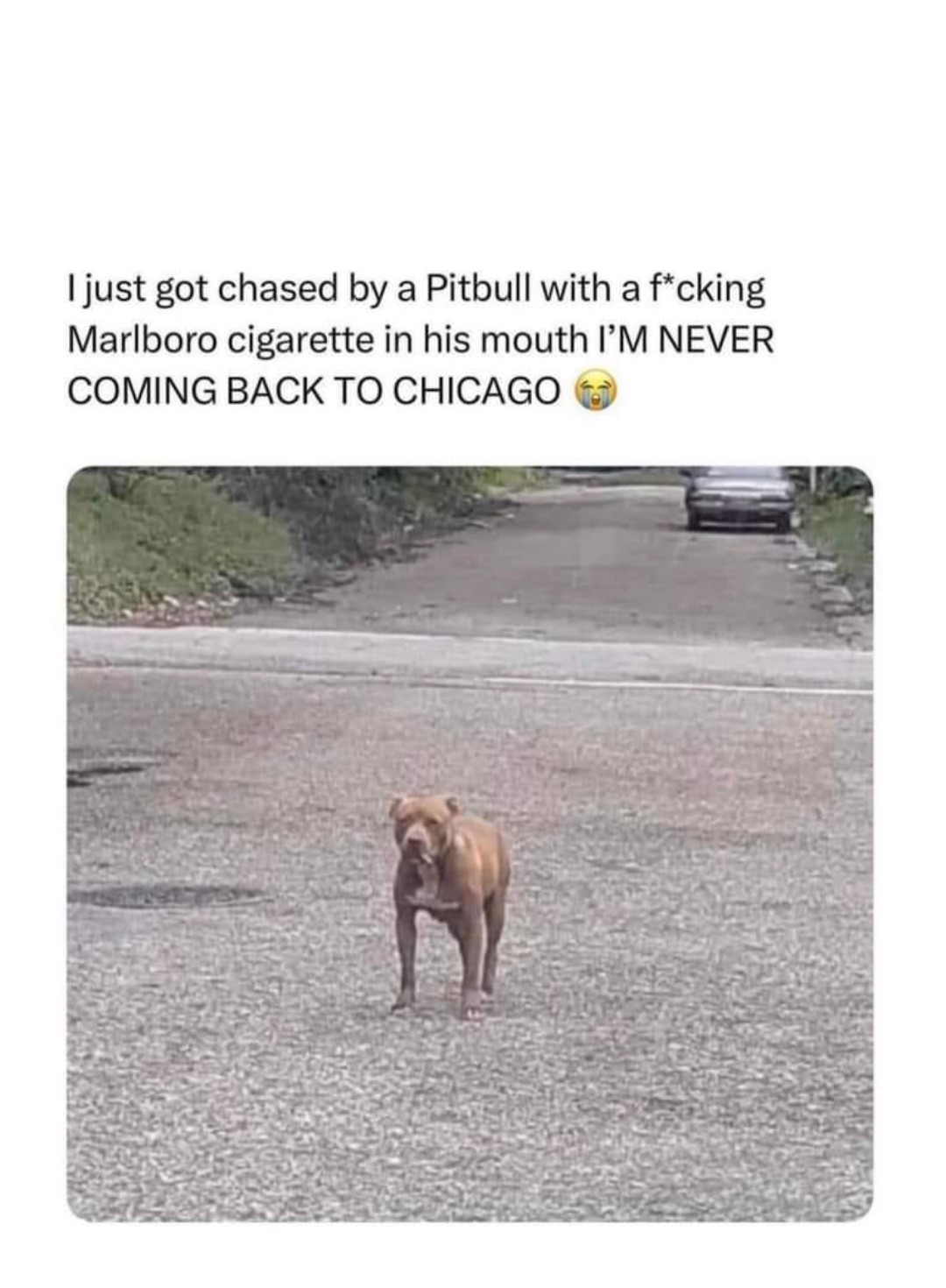 Double tap to edit