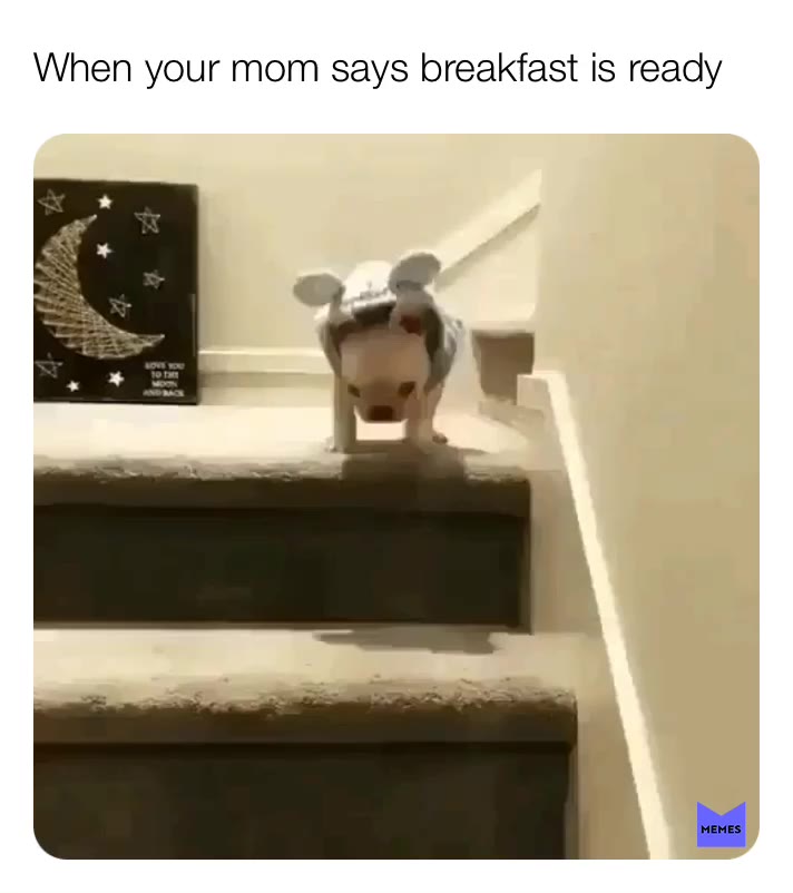 #everyone #pigordog #meme #hungry #breakfeast