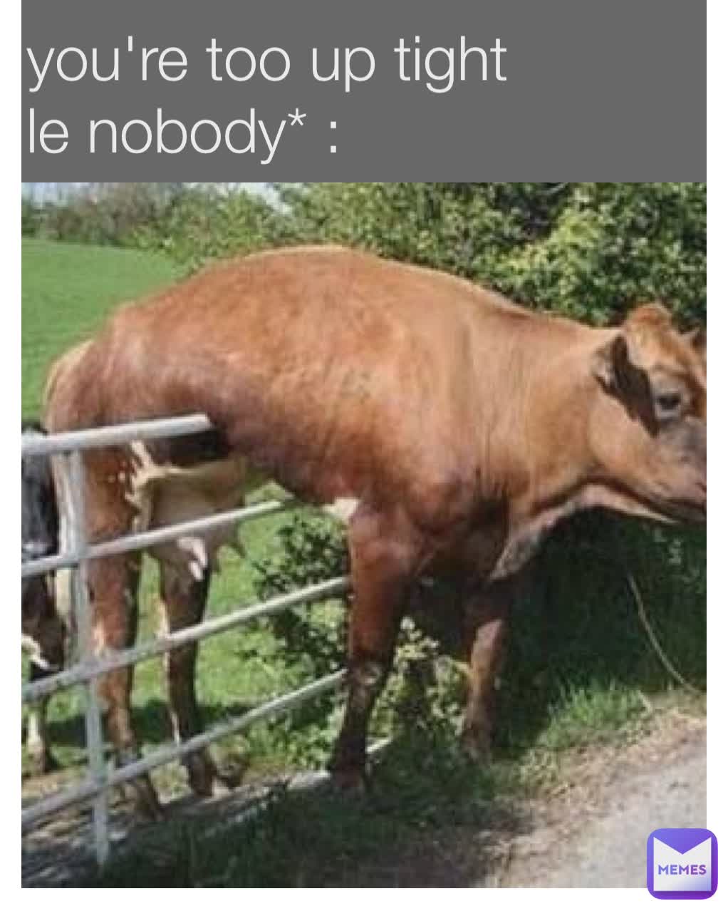 you're too up tight 
le nobody* : 