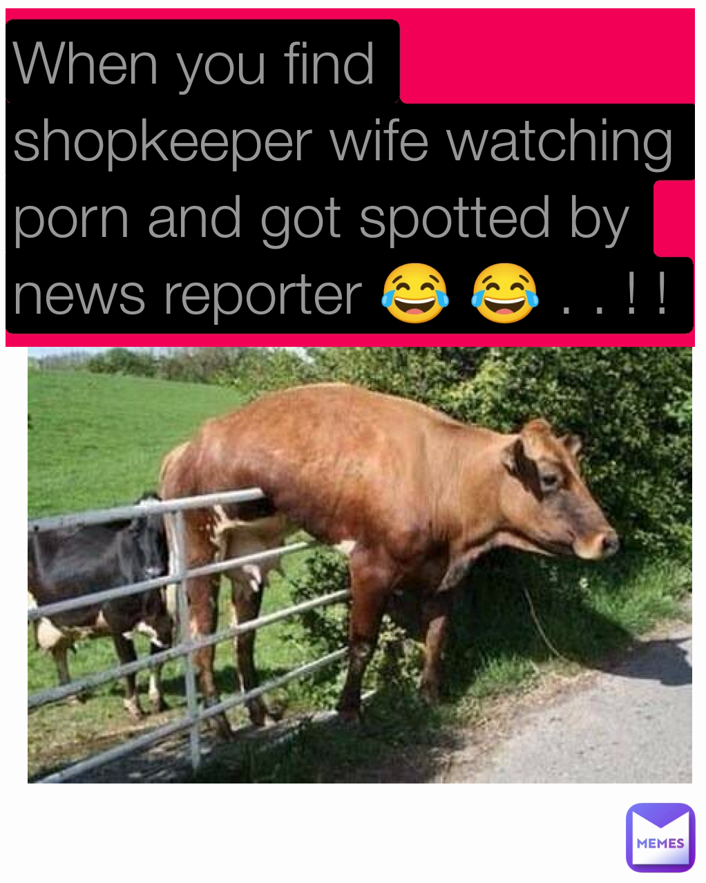 When You Find Shopkeeper Wife Watching Porn And Got Spotted By News Reporter 😂 😂