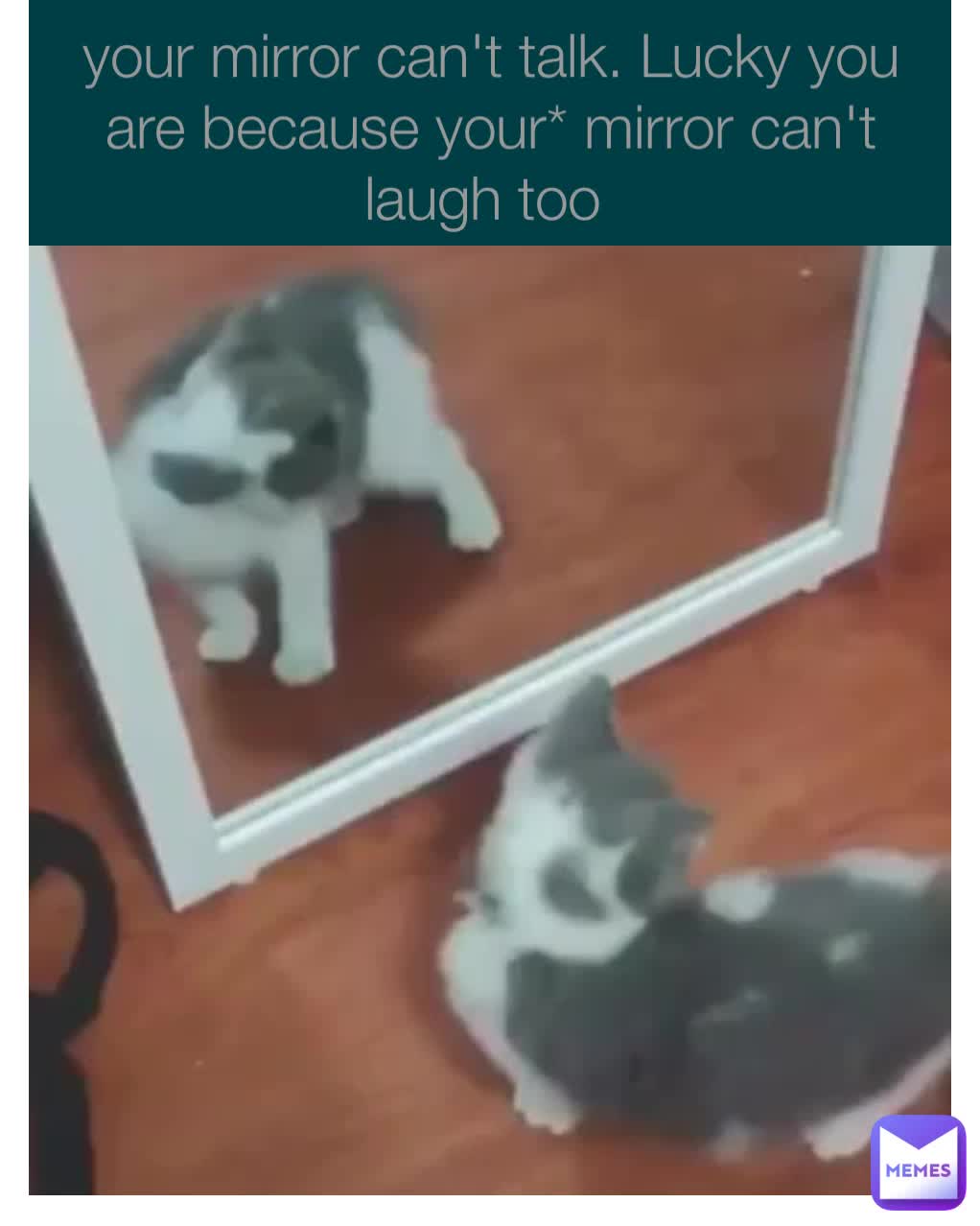 your mirror can't talk. Lucky you are because your* mirror can't laugh