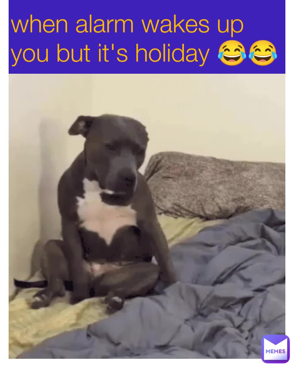 when alarm wakes up you but it's holiday 😂😂 reverseego Memes