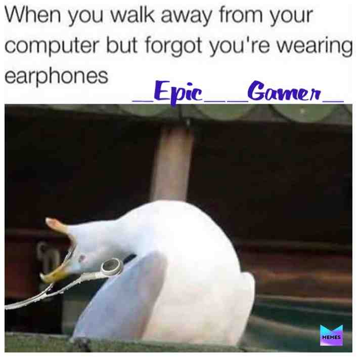 This can\u2019t only be me
THIS IS MY NEW HASHTAG! If you ever want to find some content by me, just search this up!
      #_Epic__Gamer_