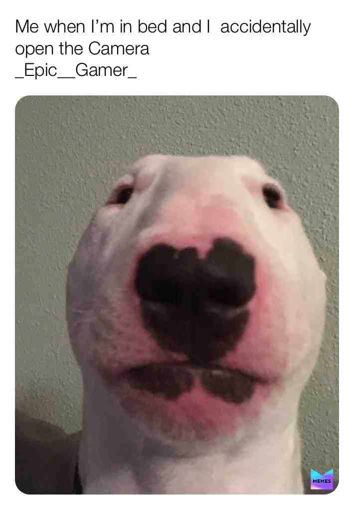 Always...
THIS IS MY NEW HASHTAG! If you ever want to find some content by me, just search this up!
          #_Epic__Gamer_
 #camera  #dog  #phone  #bed  #funny  #dankmemes  #funnymemes