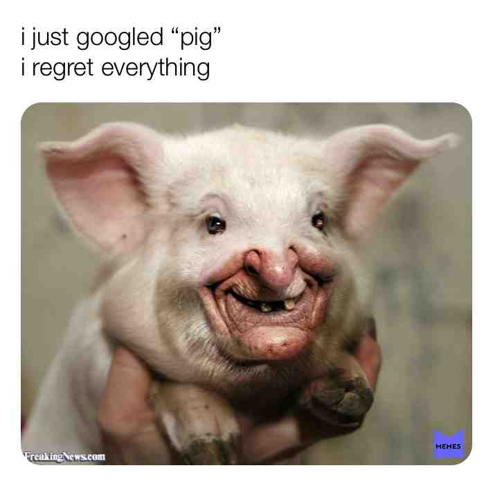 Meme shared by @samthecapybara