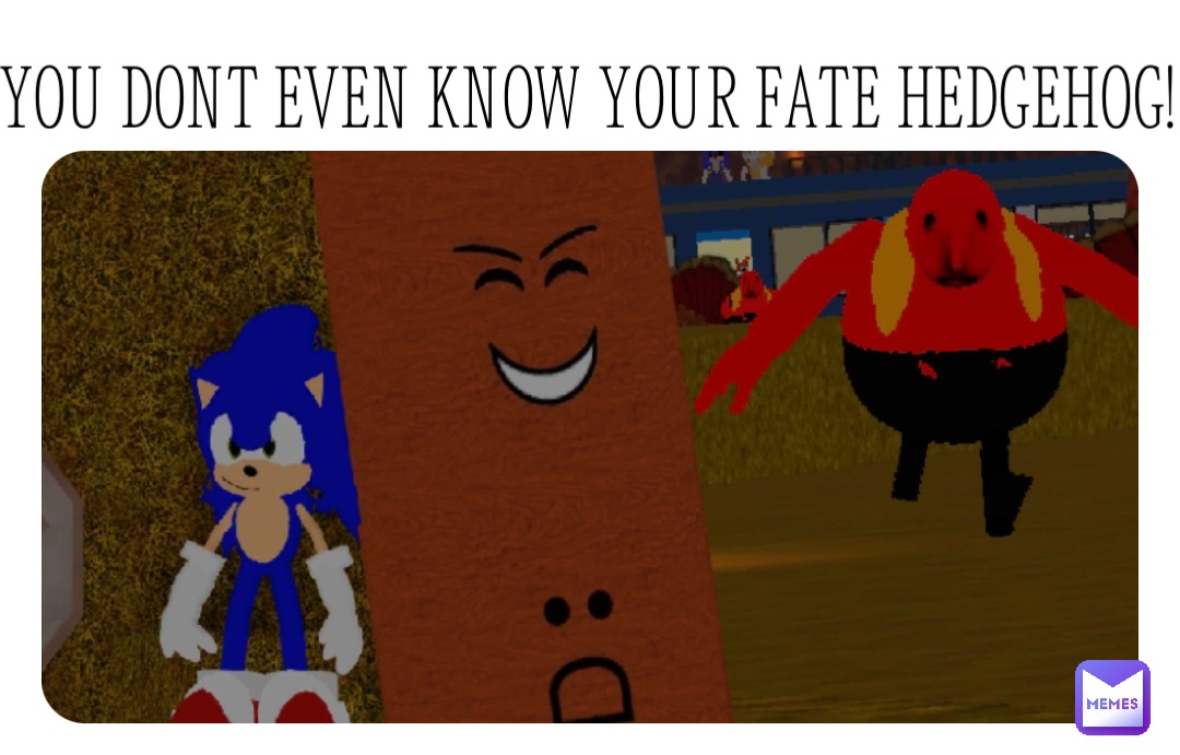 YOU DONT EVEN KNOW YOUR FATE HEDGEHOG!