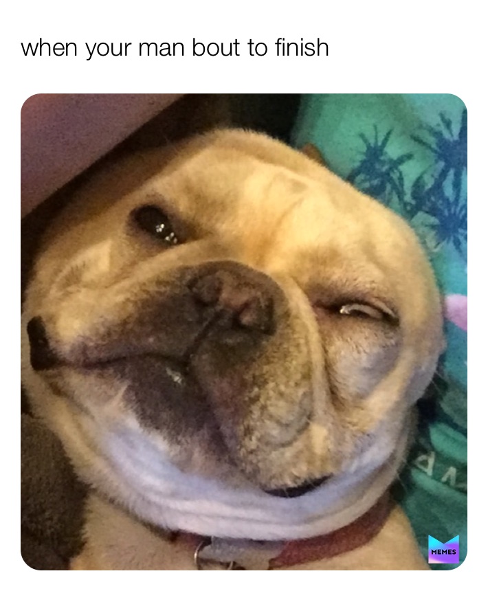 Meme by laughsandtravels