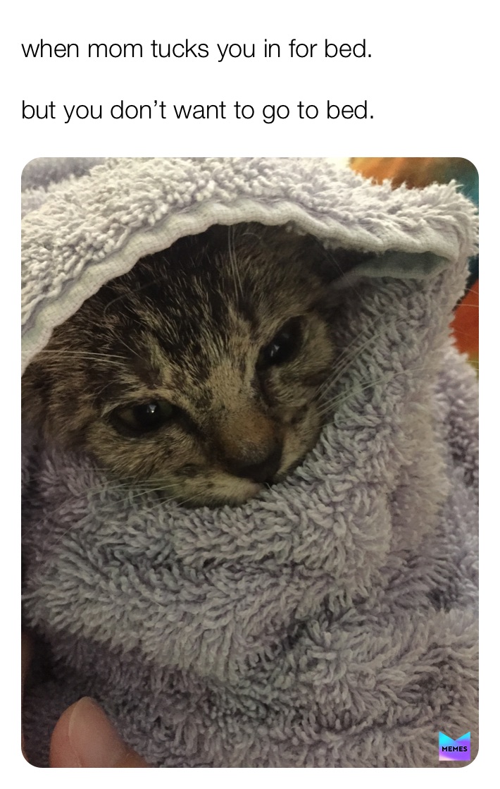 Meme by laughsandtravels