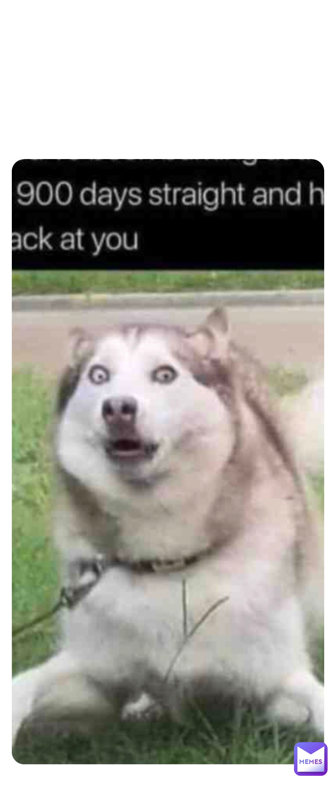 Meme by funny_memes80