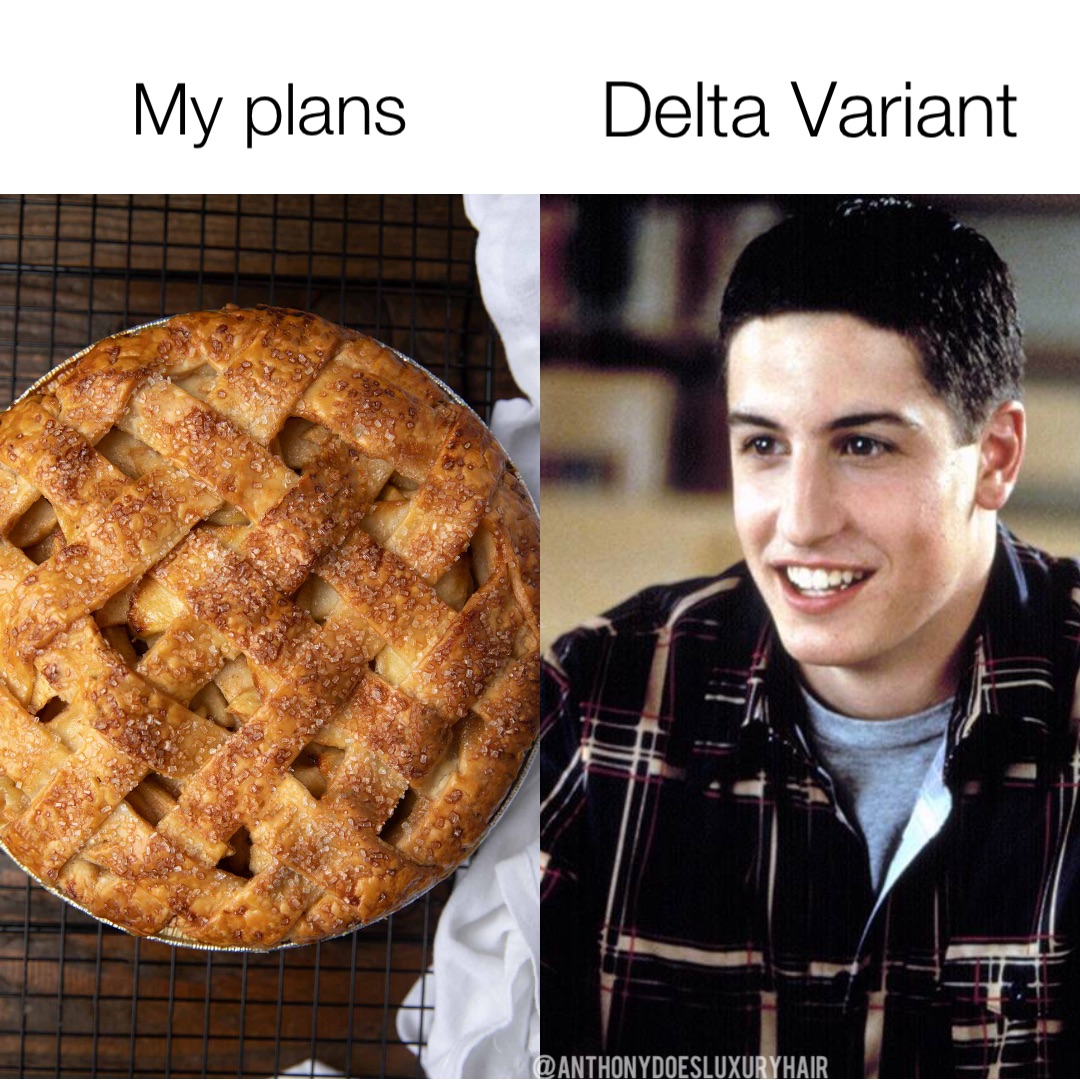 My plans Delta Variant