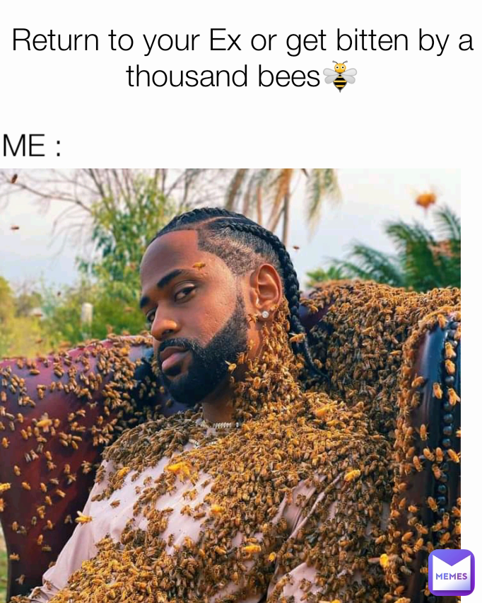 ME : Return to your Ex or get bitten by a thousand bees🐝