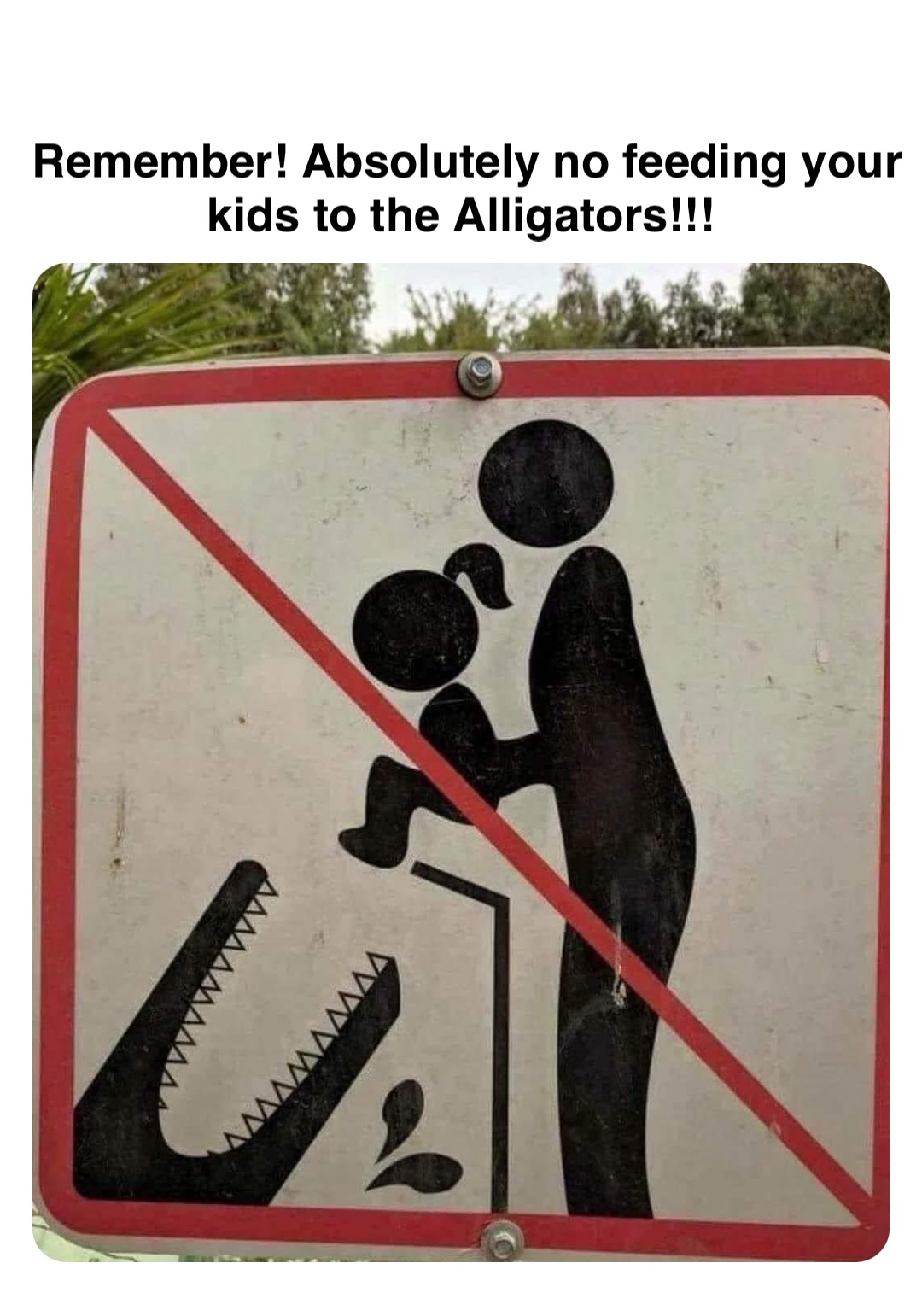 Double tap to edit Remember! Absolutely no feeding your kids to the Alligators!!!