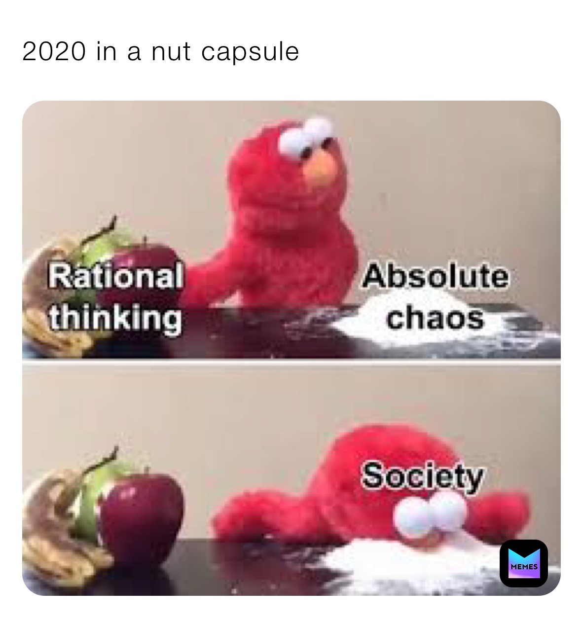 2020 in a nut capsule