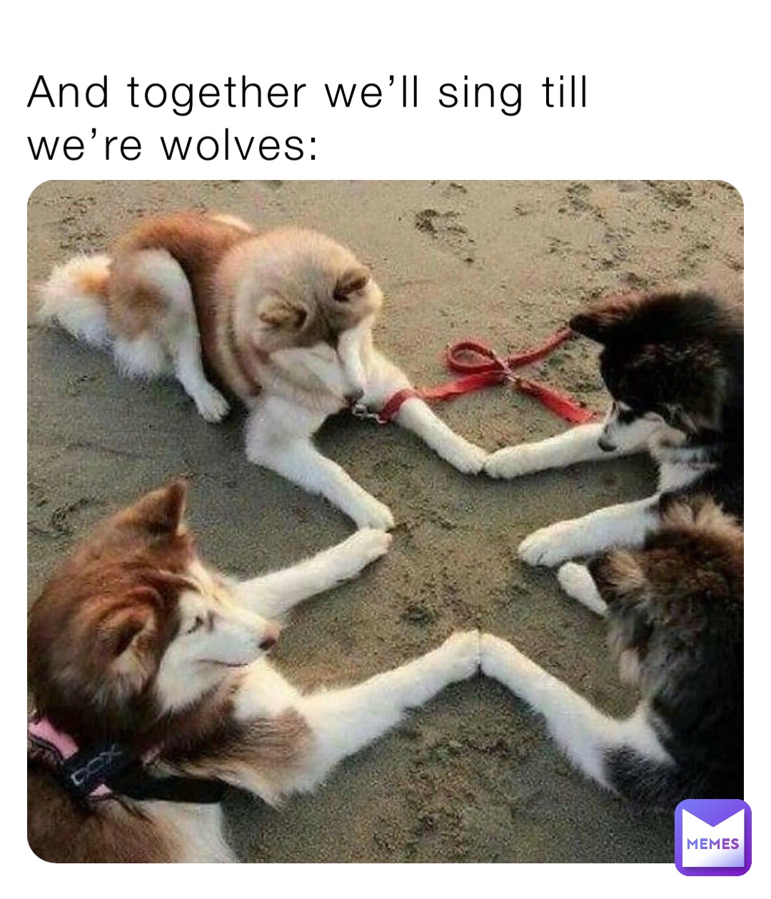 And together we’ll sing till we’re wolves: