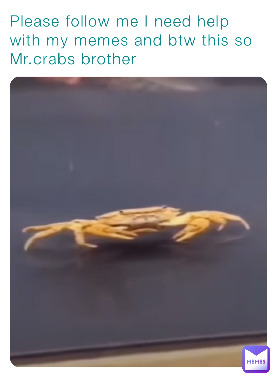 Please follow me I need help with my memes and btw this so Mr.crabs brother