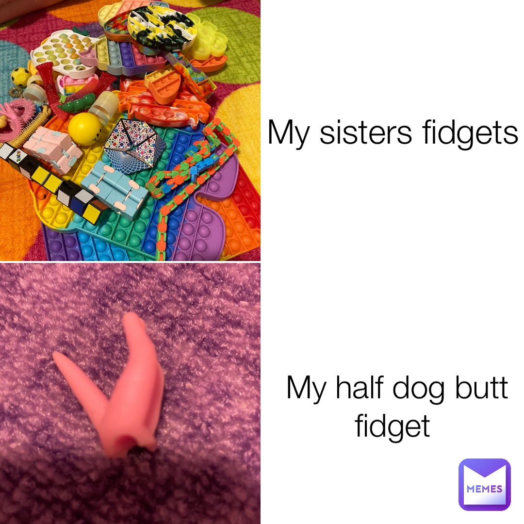 My sisters fidgets My half dog butt fidget