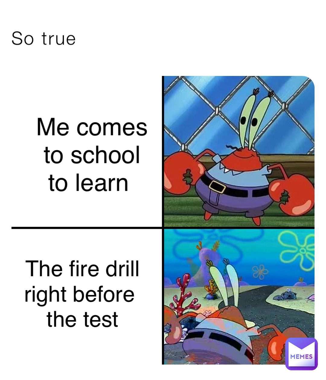 So true Me comes 
to school 
to learn The fire drill 
right before
 the test