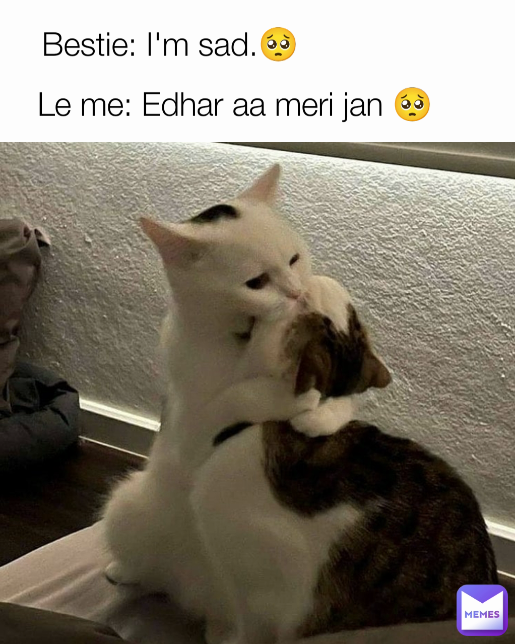 Bestie: I'm sad.🥺 Le me: Edhar aa meri jan 🥺