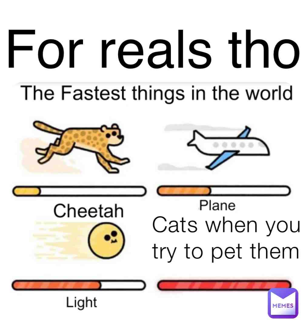 #cats
