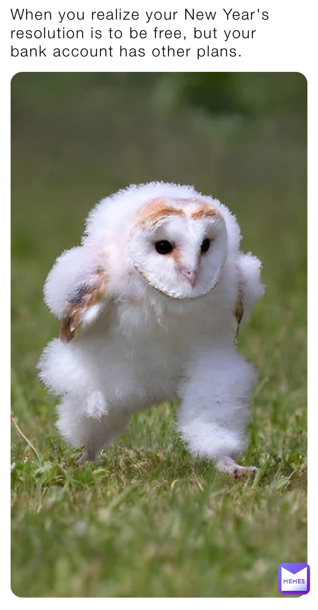 Meme by Monster_Deer