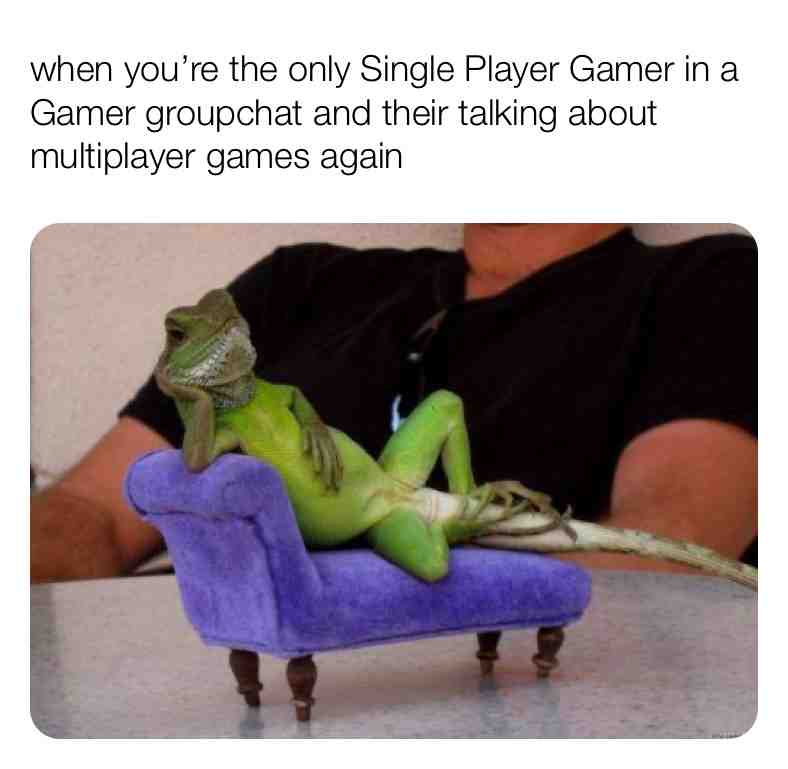 #Gaming #multiplayer #games #singleplayer