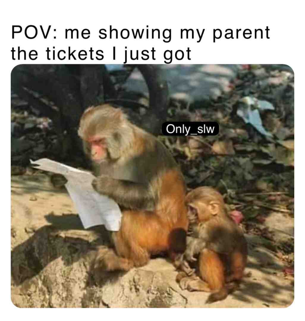 Meme shared by @only_slw