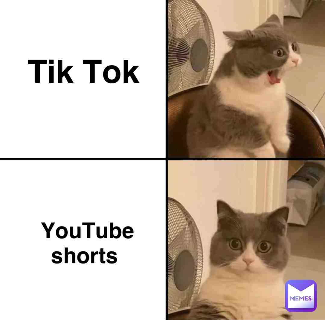 De best # #fun #yt #ytshorts #memes