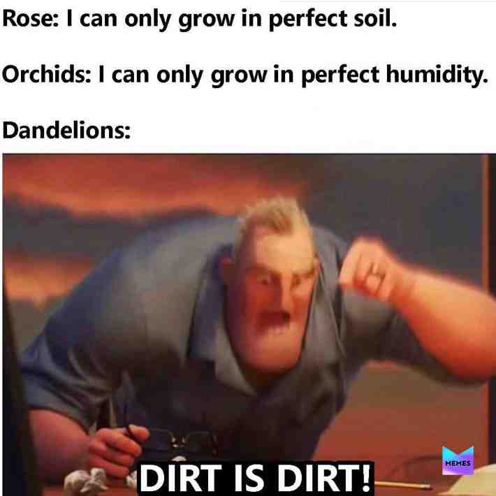 Meme shared by @Moonman
