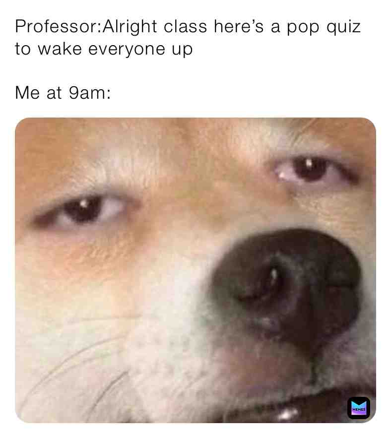  #Fuckschool #relatiable #truefacts