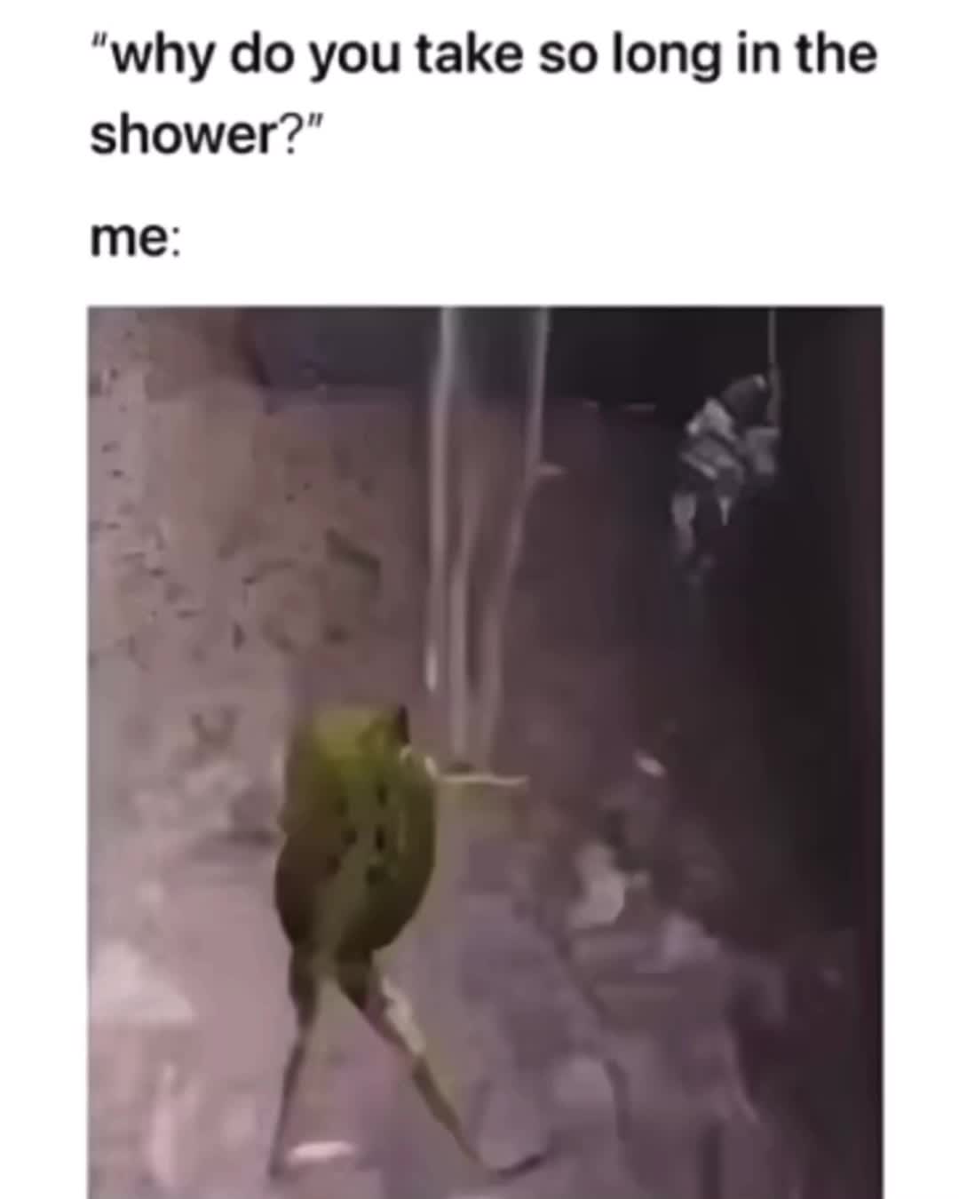 Meme shared by @TriXXster