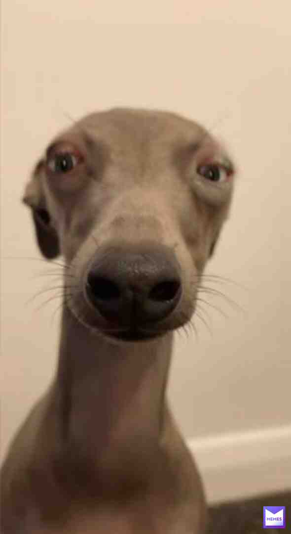 got any games on your phone??