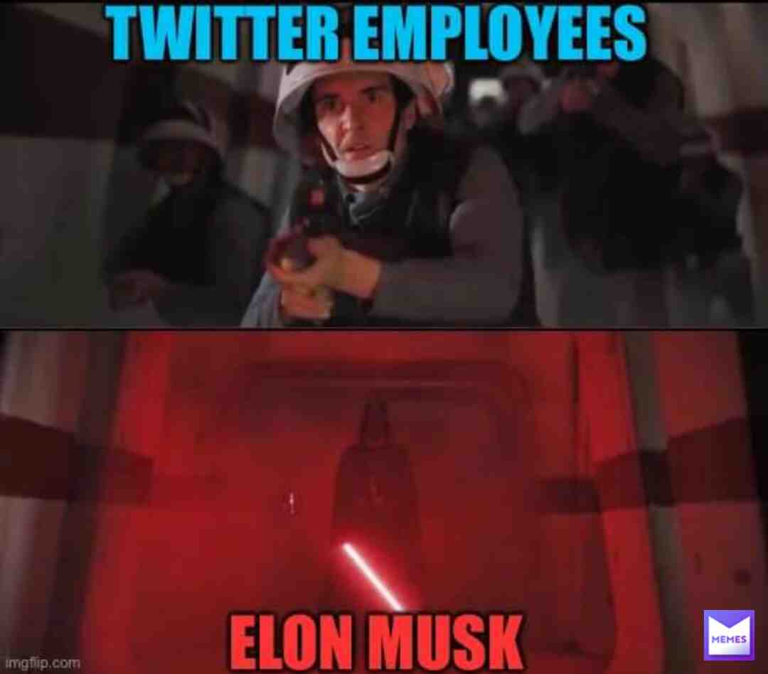 Meme shared by @Mousymouse0728