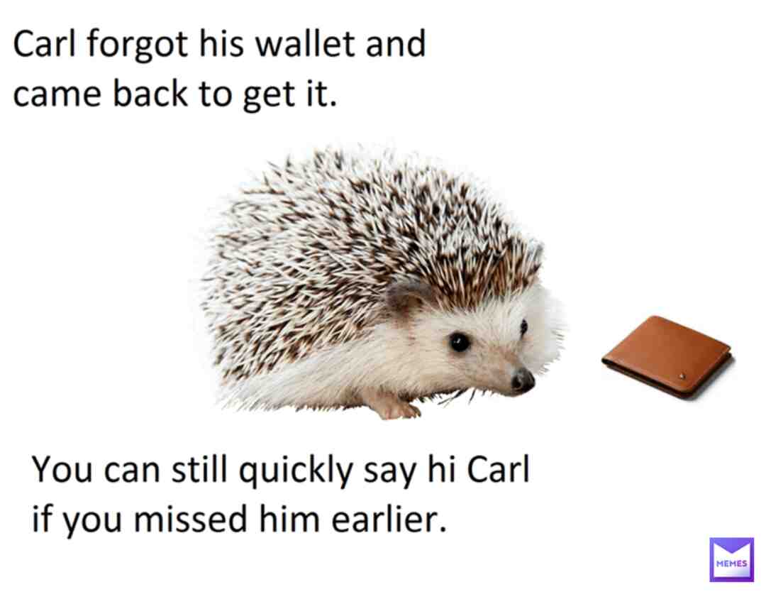 Meme shared by @Mousymouse0728
