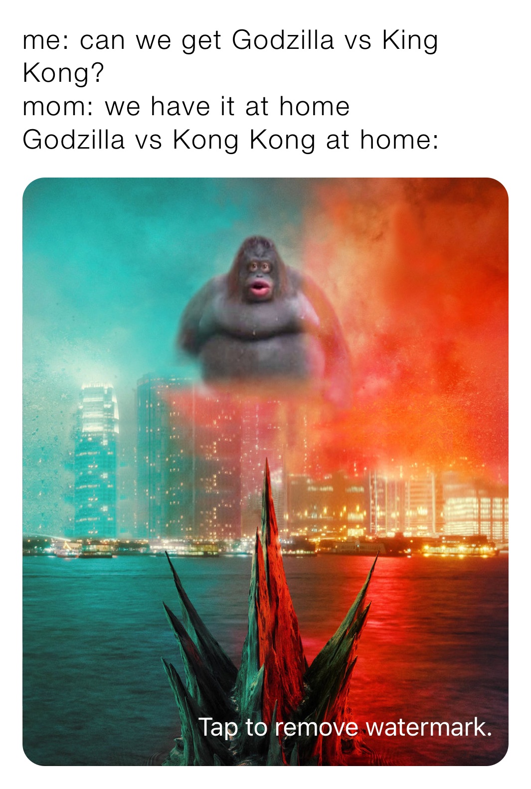 me: can we get Godzilla vs King Kong?
mom: we have it at home
Godzilla vs Kong Kong at home: