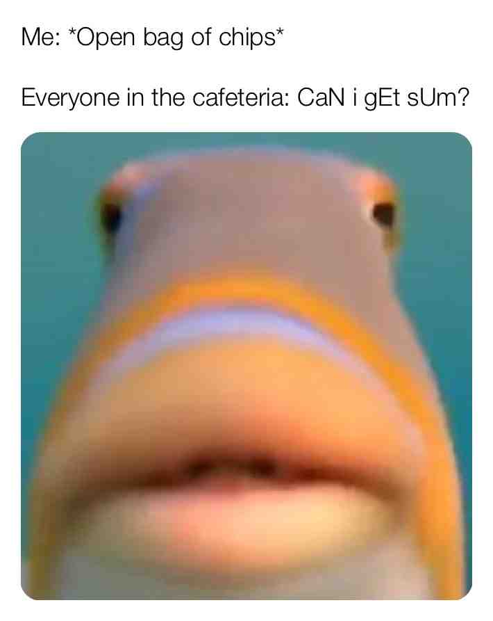 Bro they only $1.49 go buy sum\ud83d\ude02\ud83d\ude02
#relatable #relatablememes #memestagram #memes #memesdaily #goodmemes #lol #lolmemes #school #schoolmemes #schoolsucks #funny #hilarious #lmao