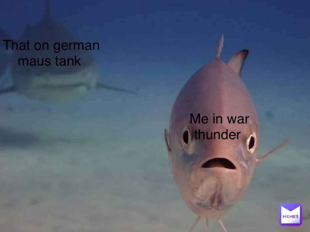 Me in war thunder That on german maus tank