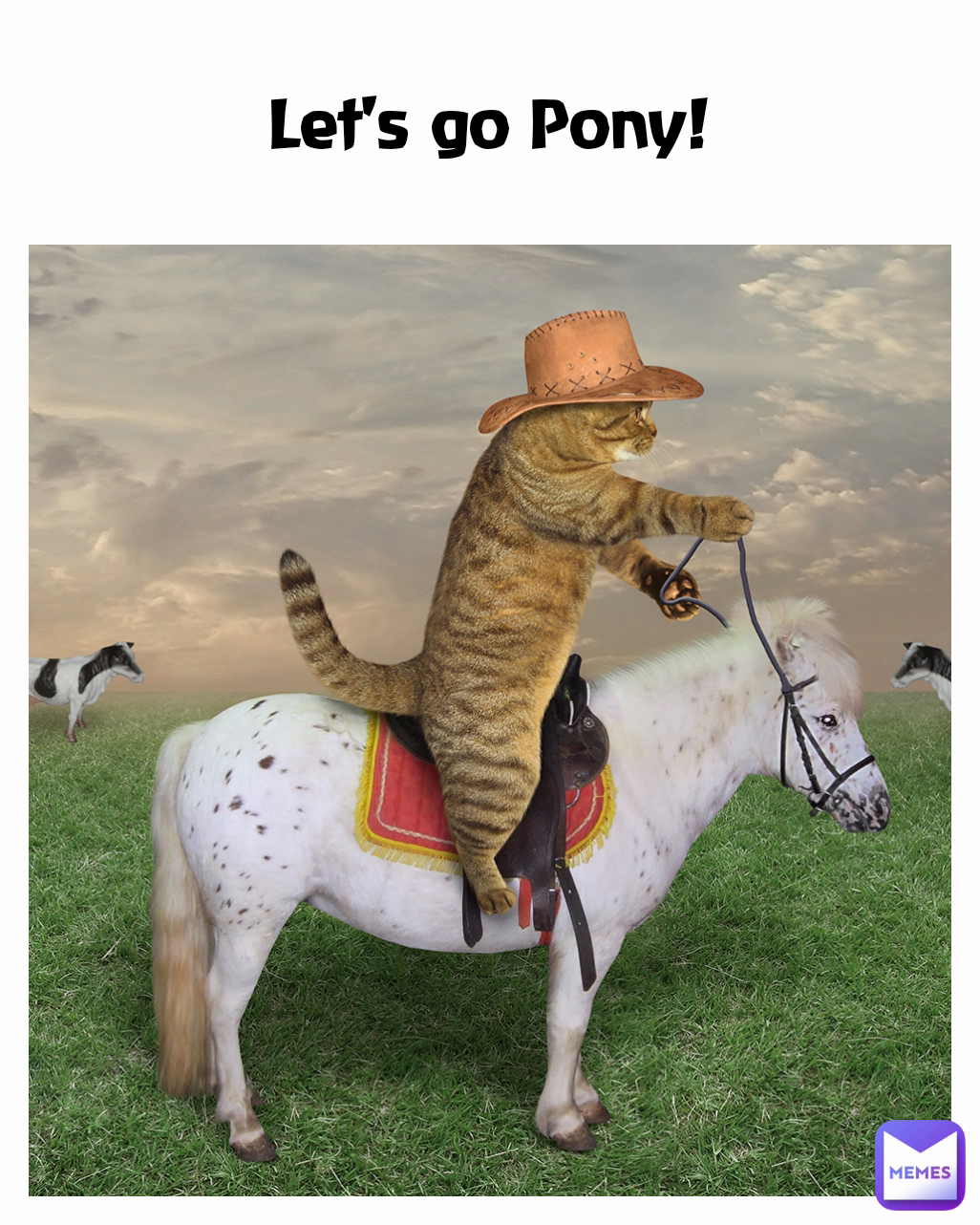 Meme by Funny12_Memes