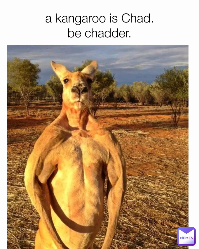 a kangaroo is Chad.
be chadder.