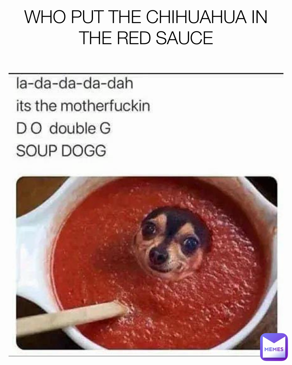 WHO PUT THE CHIHUAHUA IN THE RED SAUCE
