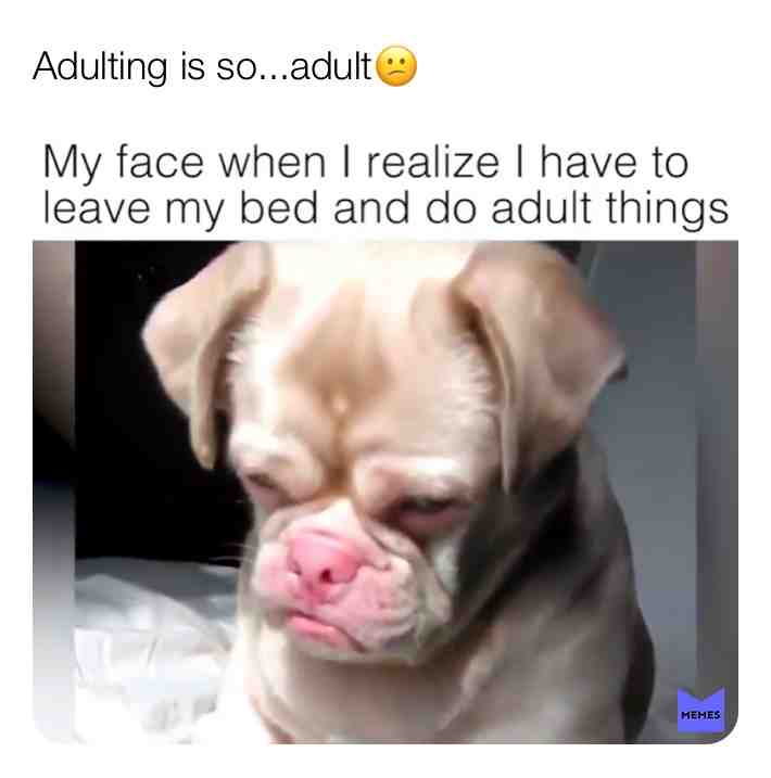 Meme shared by @mememeupscotty