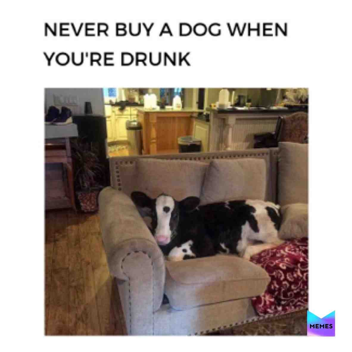 Meme shared by @mememeupscotty