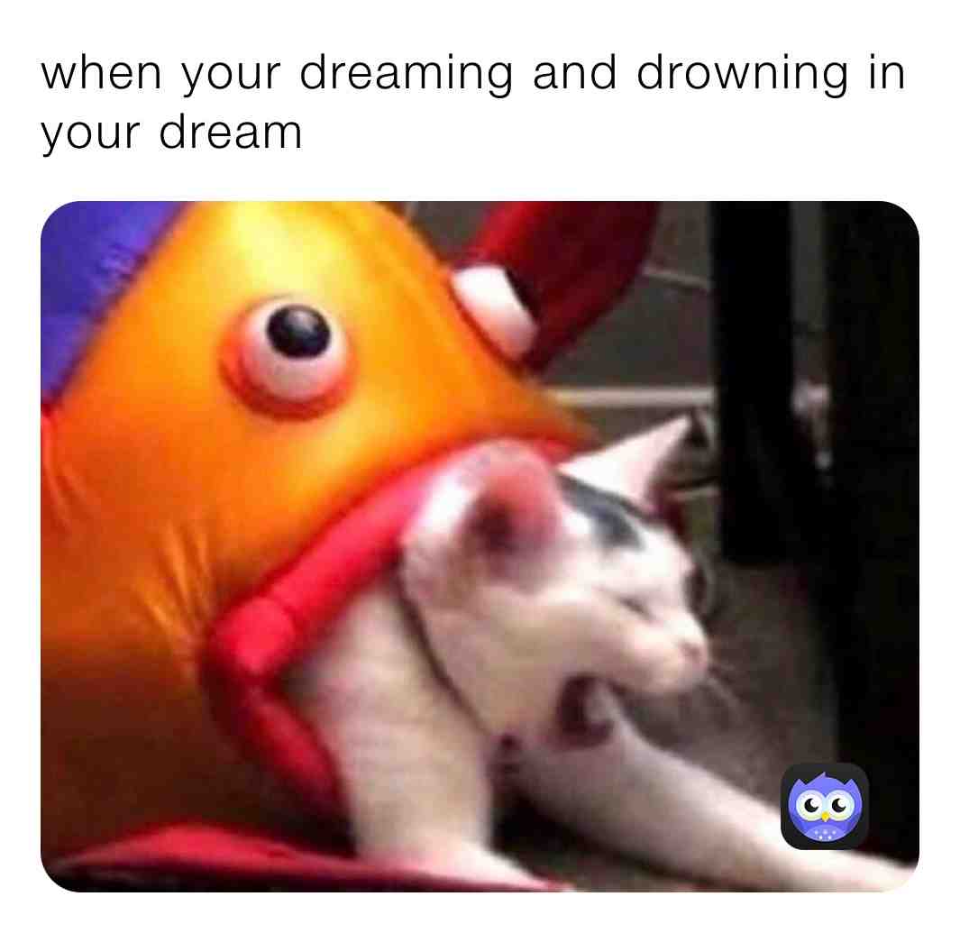 Meme shared by @memes_24_7