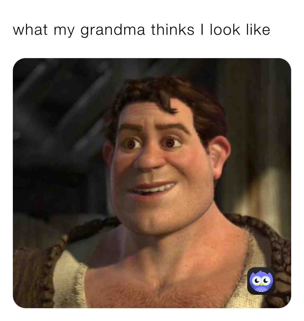 Meme shared by @memes_24_7