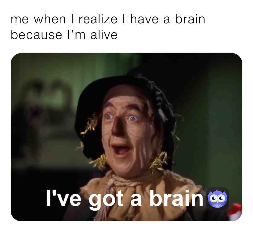 Meme shared by @memes_24_7