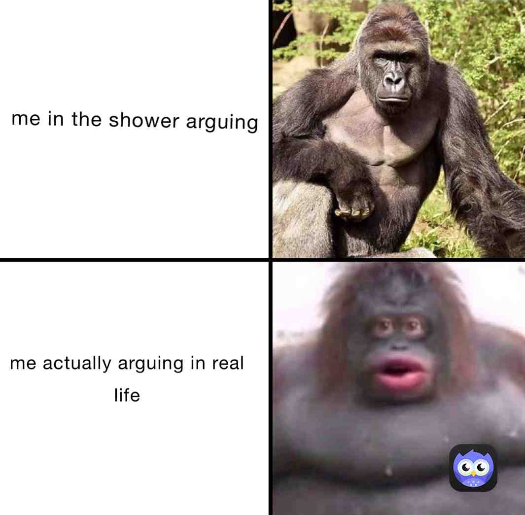 Meme shared by @memes_24_7