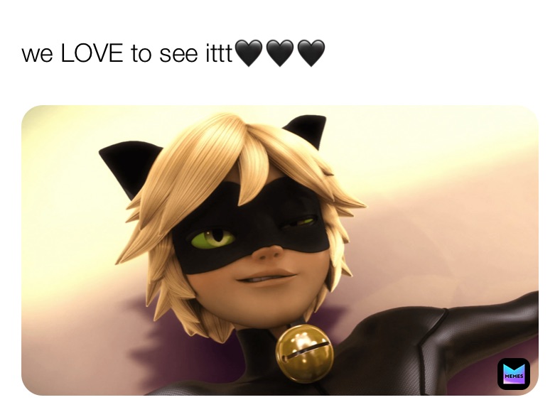 Chatnoir Memes Memes