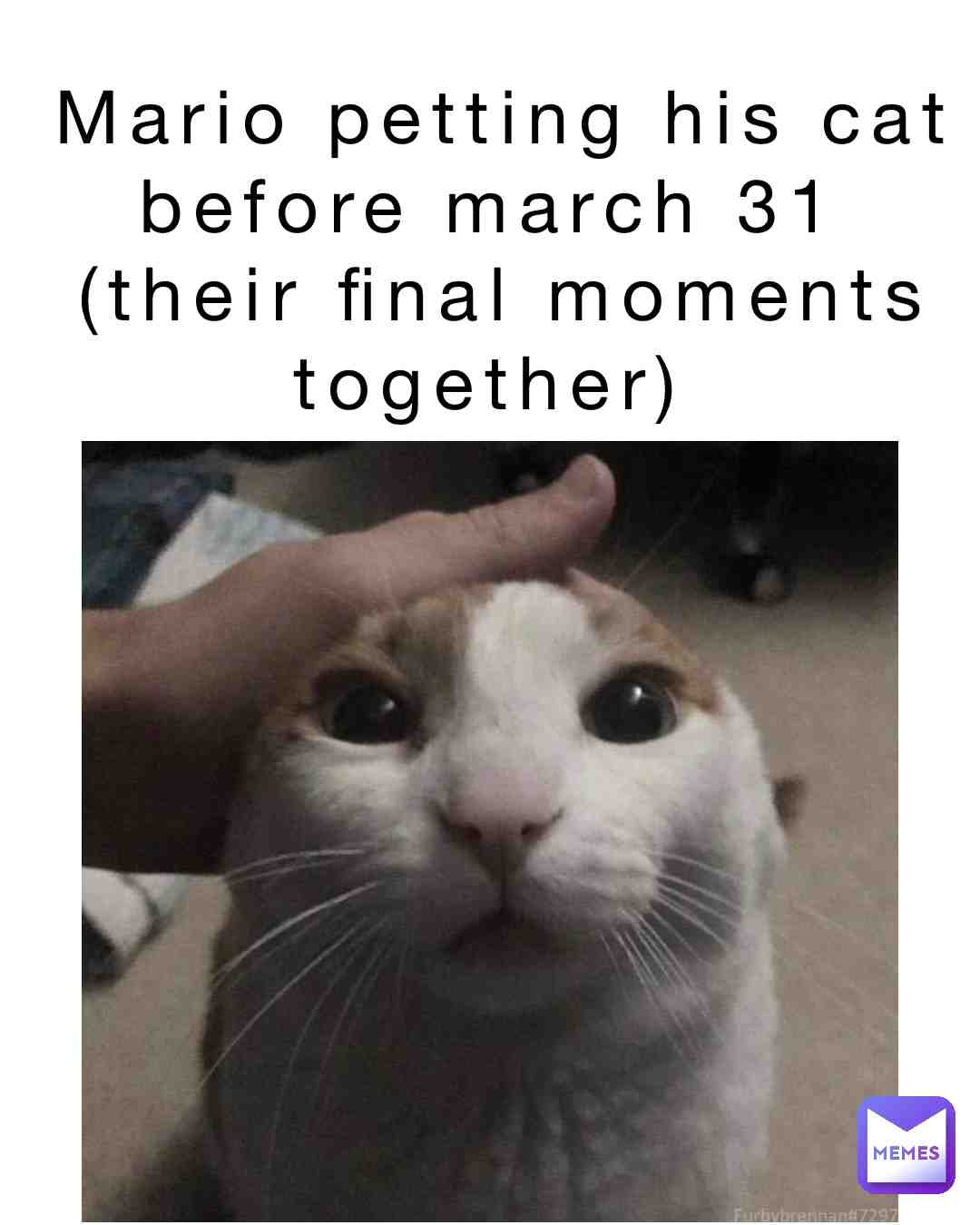 Meme shared by @the_winning_son