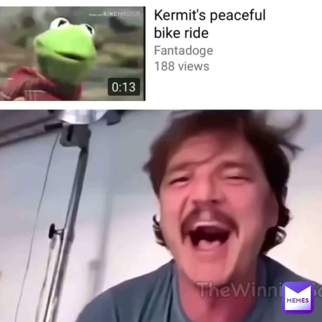 Nooooo Kermit